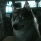 There’s also D-Dog. D-Dog is perfect.